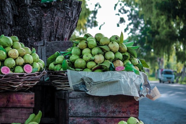 wellhealthorganic.com:5-amazing-health-benefits-of-guava - Busy Inside