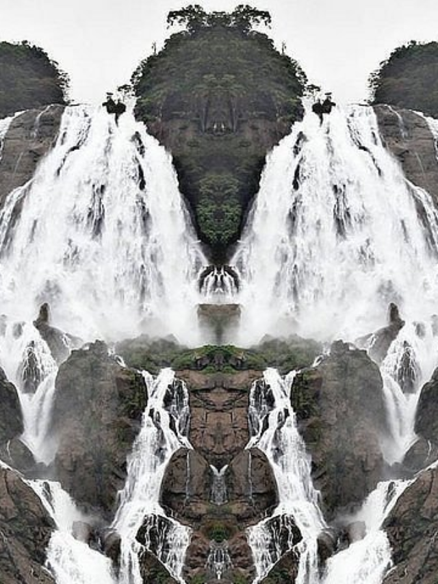 cropped-image-33.png